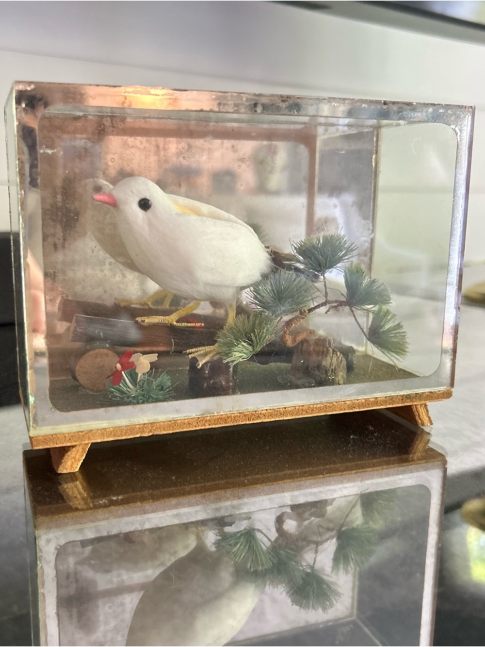Vintage MCM White Bird Glass‎ Display Shadow Box (1968)